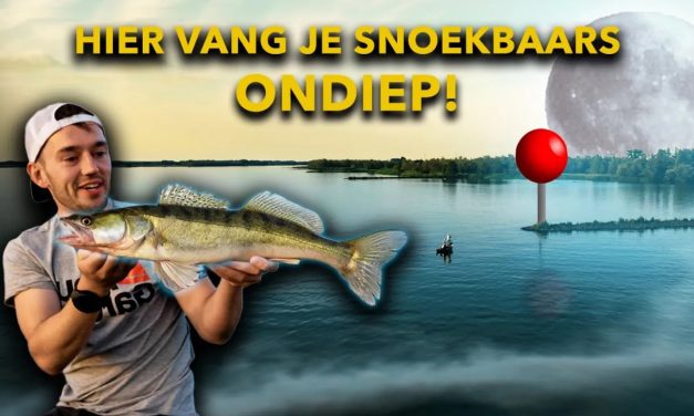 ***VIDEO*** HIER MOET JE OP LETTEN BIJ HET ZOEKEN VAN RIVIERSTEKKEN!