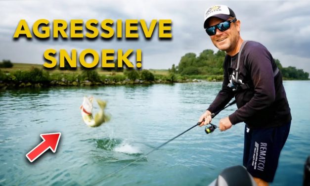 ***VIDEO*** DEZE TECHNIEKEN werken in de ZOMER!