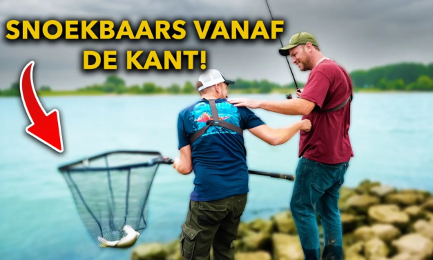 ***VIDEO*** Zo lees je de RIVIER 🔥 en ga je 100% MEER SNOEKBAARS vangen vanaf de kant🏆