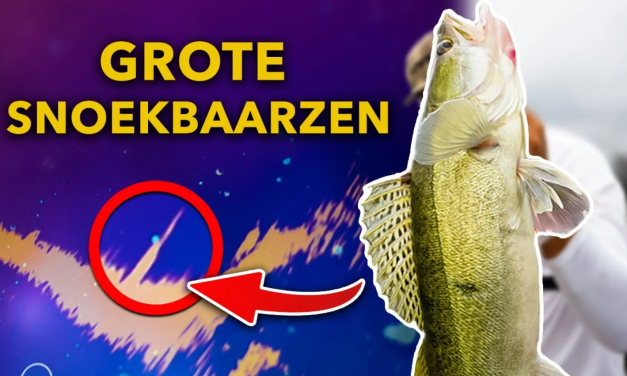 ***VIDEO*** ZIE hoe ROOFVIS zich gedraagt ONDER WATER!
