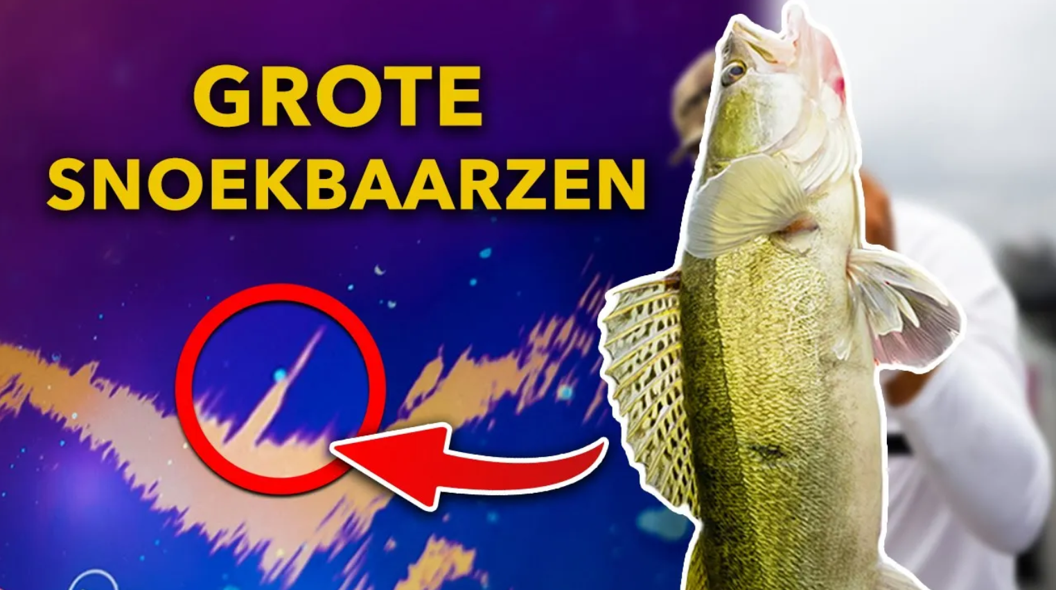 ***VIDEO*** ZIE hoe ROOFVIS zich gedraagt ONDER WATER!