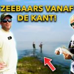 ***VIDEO*** LEER ZEEBAARS VISSEN! – Zo vang JIJ zeebaars op TOPWATER en SHADS