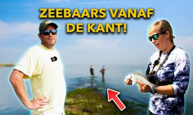 ***VIDEO*** LEER ZEEBAARS VISSEN! – Zo vang JIJ zeebaars op TOPWATER en SHADS
