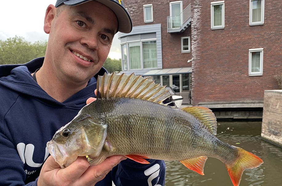 Grote baarzen kunnen hier niet van afblijven!