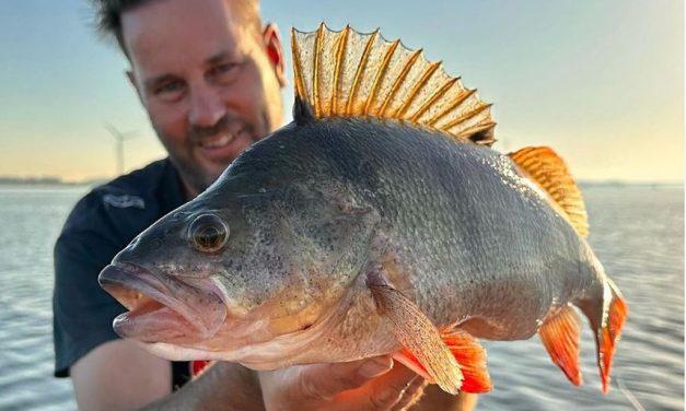 Dit is echt onmisbaar voor de roofvisser!