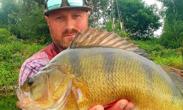 Kunstaas estafette – Top 3 kunstaas voor baars van Hessel Wijbenga