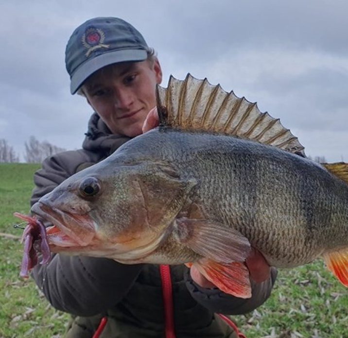 Kunstaas estafette – Top 3 kunstaas voor baars van Mees Holthausen
