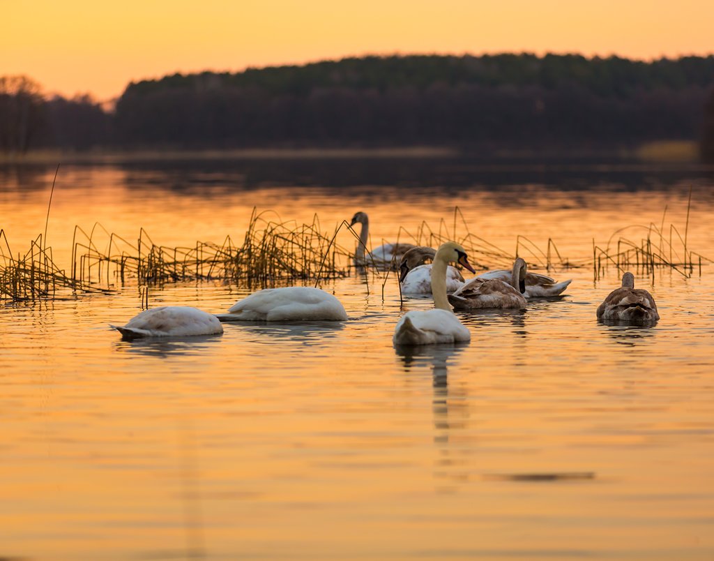 Drie tips om voor de natuur te zorgen tijdens het vissen