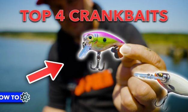 ***How to video*** VIS in elke WATERLAAG met deze HARDBAITS!
