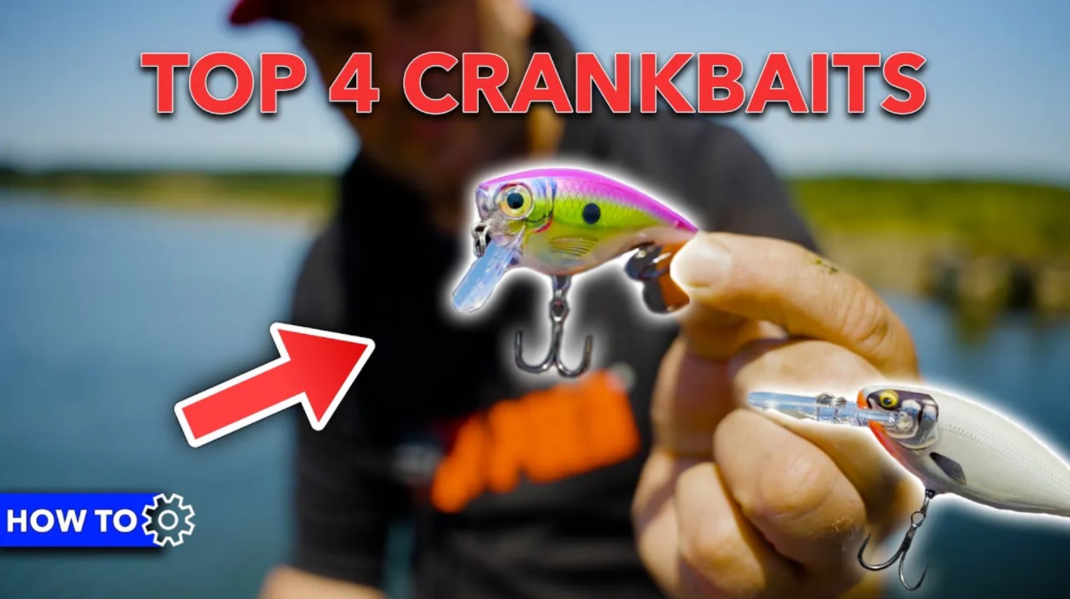 ***How to video*** VIS in elke WATERLAAG met deze HARDBAITS!