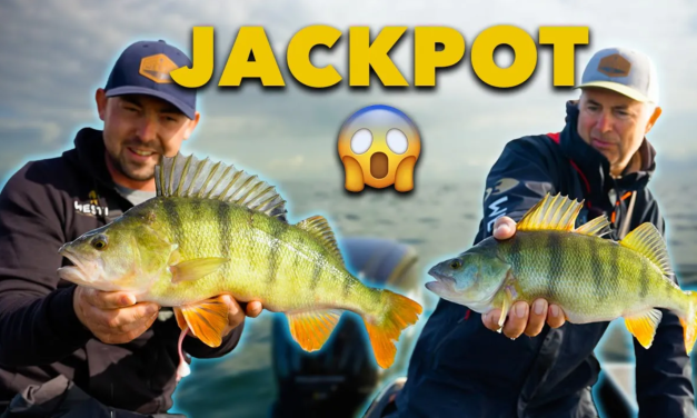 ***VIDEO*** BIZAR!!! Wij beleven NON STOP ACTIE met MEGA veel XXL BAARZEN
