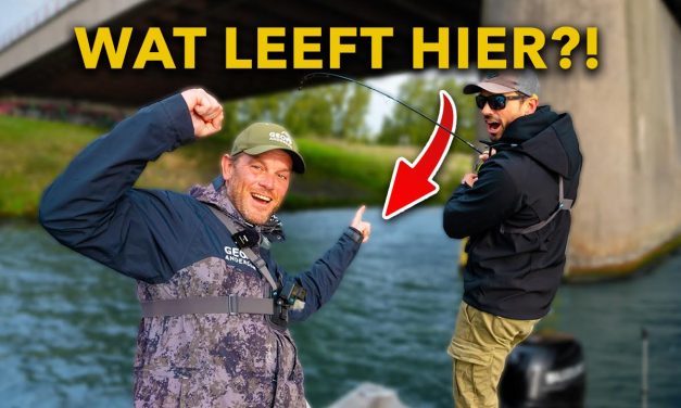 ***VIDEO*** Wij TOVEREN een SAAI WATER om in een ROOFVIS PARADIJS!