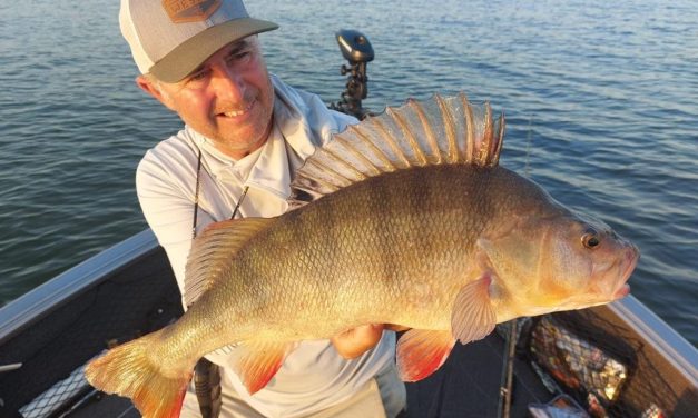 Interview met Luc Coppens – Acht baarzen van gemiddeld 50 cm