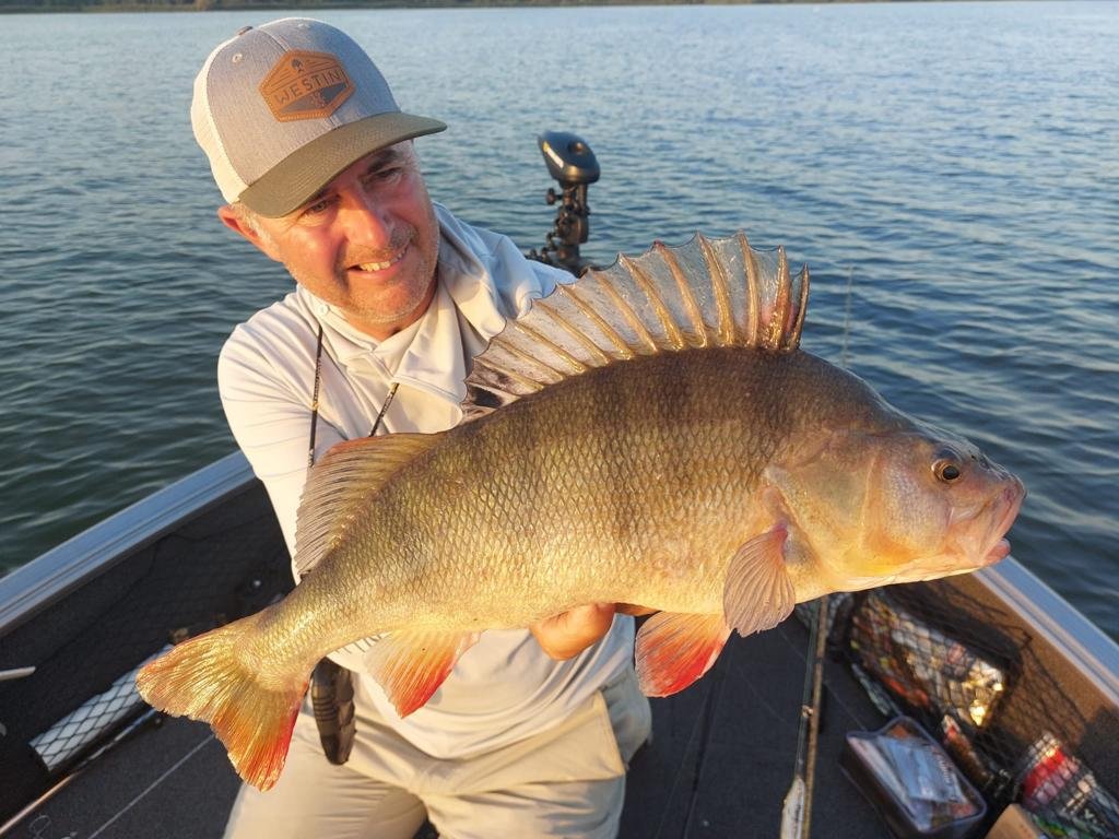 Interview met Luc Coppens – Acht baarzen van gemiddeld 50 cm