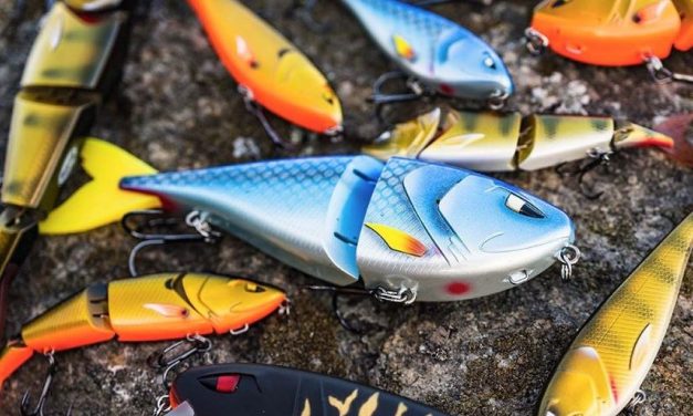 Deze hardbaits zijn perfect voor polder snoek!