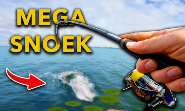 ***VIDEO*** HIER vang je METERSNOEK in de HERFST!