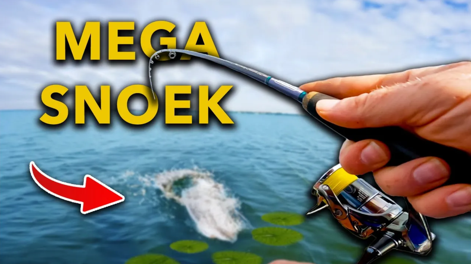 ***VIDEO*** HIER vang je METERSNOEK in de HERFST!