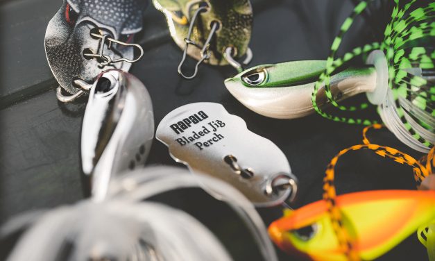 Chatterbaits in de winter – Top of flop?