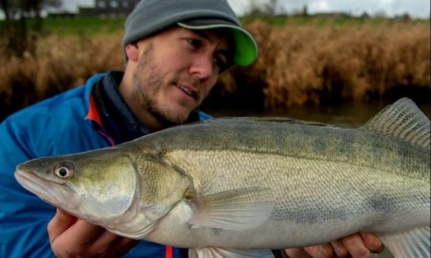 Kunstaas estafette – Top 3 kunstaas voor snoekbaars van Hans van de Wetering