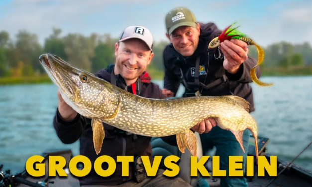 ***VIDEO*** Dit is het BEWIJS: Vang je GROTE SNOEK op GROOT KUNSTAAS?