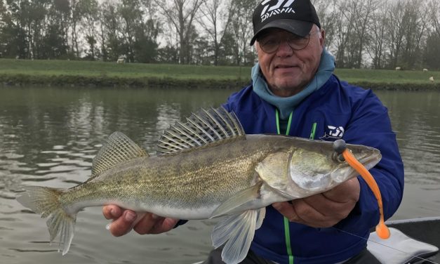Deze shads liggen al klaar voor de winter bij Jouke Jansma