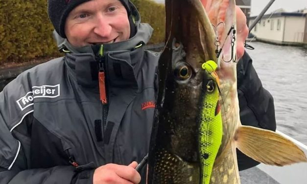 Met deze stukken kunstaas kun je alle kanten op voor snoek!