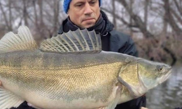 Kunstaas estafette – Top 3 kunstaas voor snoekbaars van Jeroen Vloon