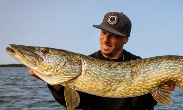 Kunstaas estafette – Top 3 kunstaas voor snoek van Roy Vanstreels