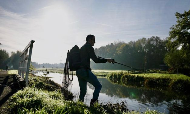 Hoe vang je snoek in de herfst vanaf de kant?