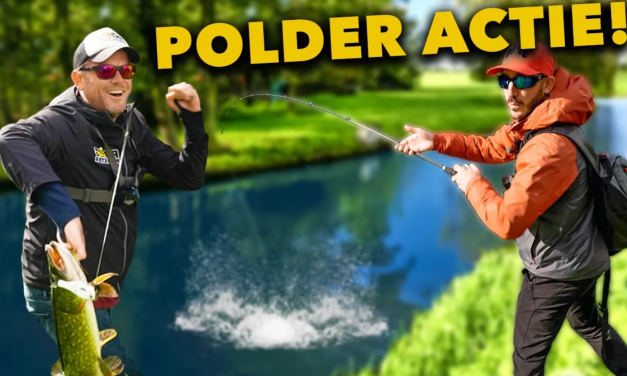 ***VIDEO*** ZO VANG je VEEL en GROTE SNOEK in de POLDER!