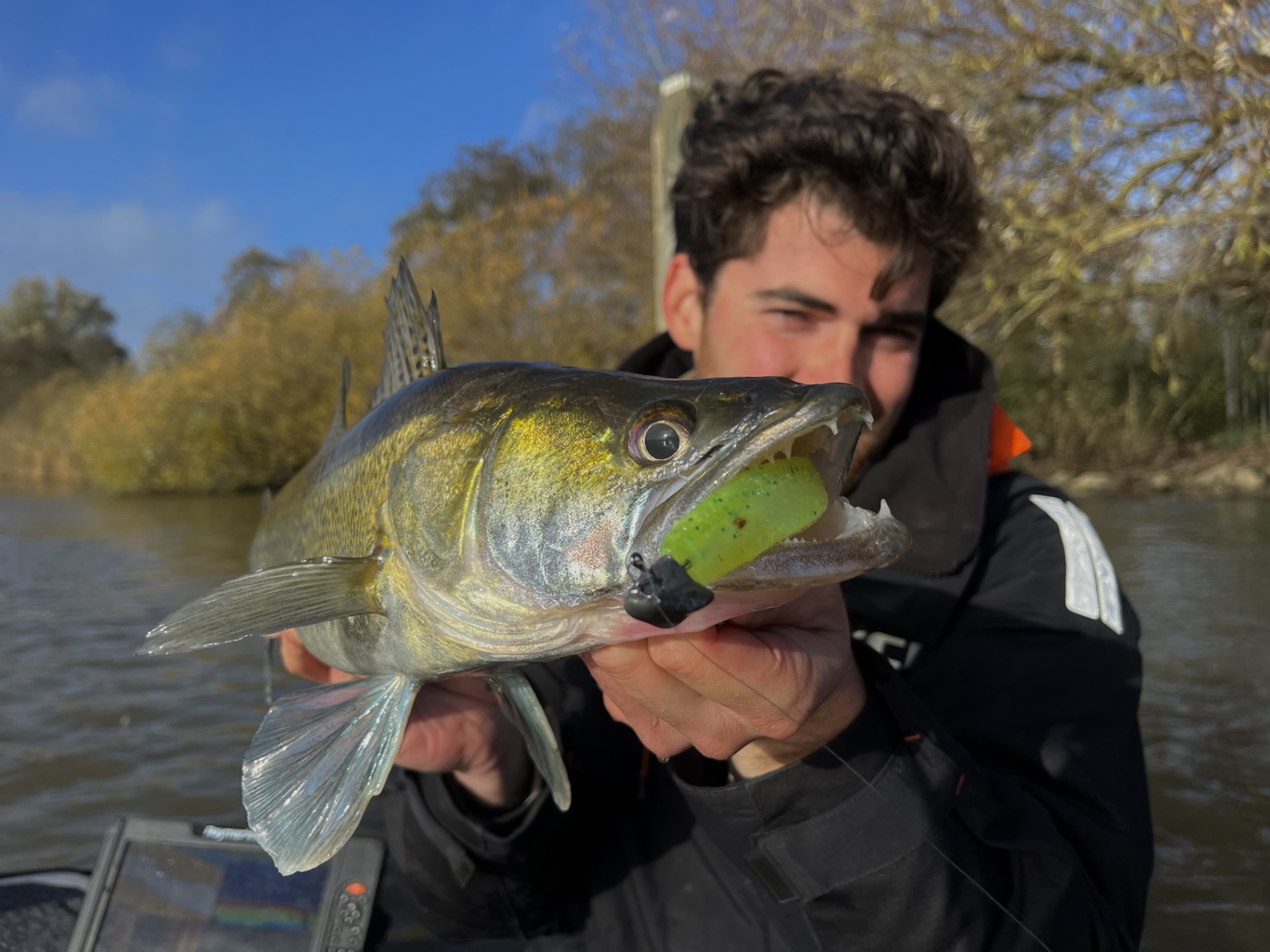Snoekbaars in koud water – wat moet je weten?