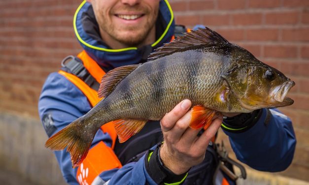 Streetfishing in de koude maanden – Tips van een wereldkampioen