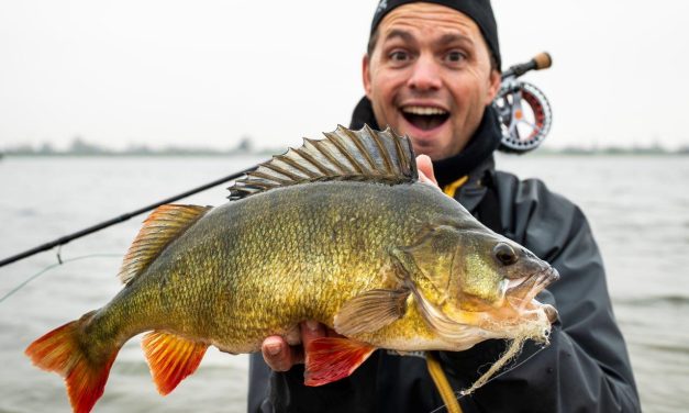 De meest unieke manier om baars en snoekbaars te vangen!