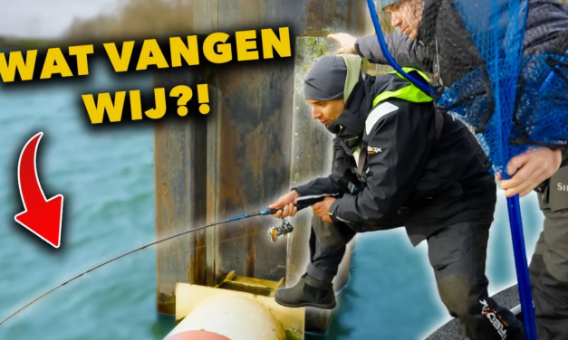 ***VIDEO*** FISHFINDER WIZZARD leert jou ALLES wat je moet WETEN & BIZARRE BIJVANGST!