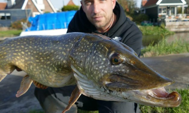 Roofmeister INSIDE: 131 cm snoek, verse vangsten in NL & ongeneeslijk ziek vissen