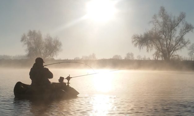 Snoekbaarsexpert: “Van alle technieken is er één die mij echt verrast heeft qua vangkracht!”