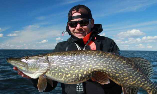 Kunstaas estafette – Top 3 kunstaas voor snoek van Jogi Deij