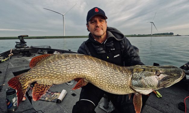 Kunstaas estafette – Top 3 kunstaas voor snoek van Siegfried Schön