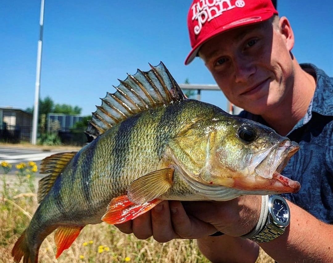 Kunstaas estafette – Top 3 kunstaas voor baars van Martijn Leus