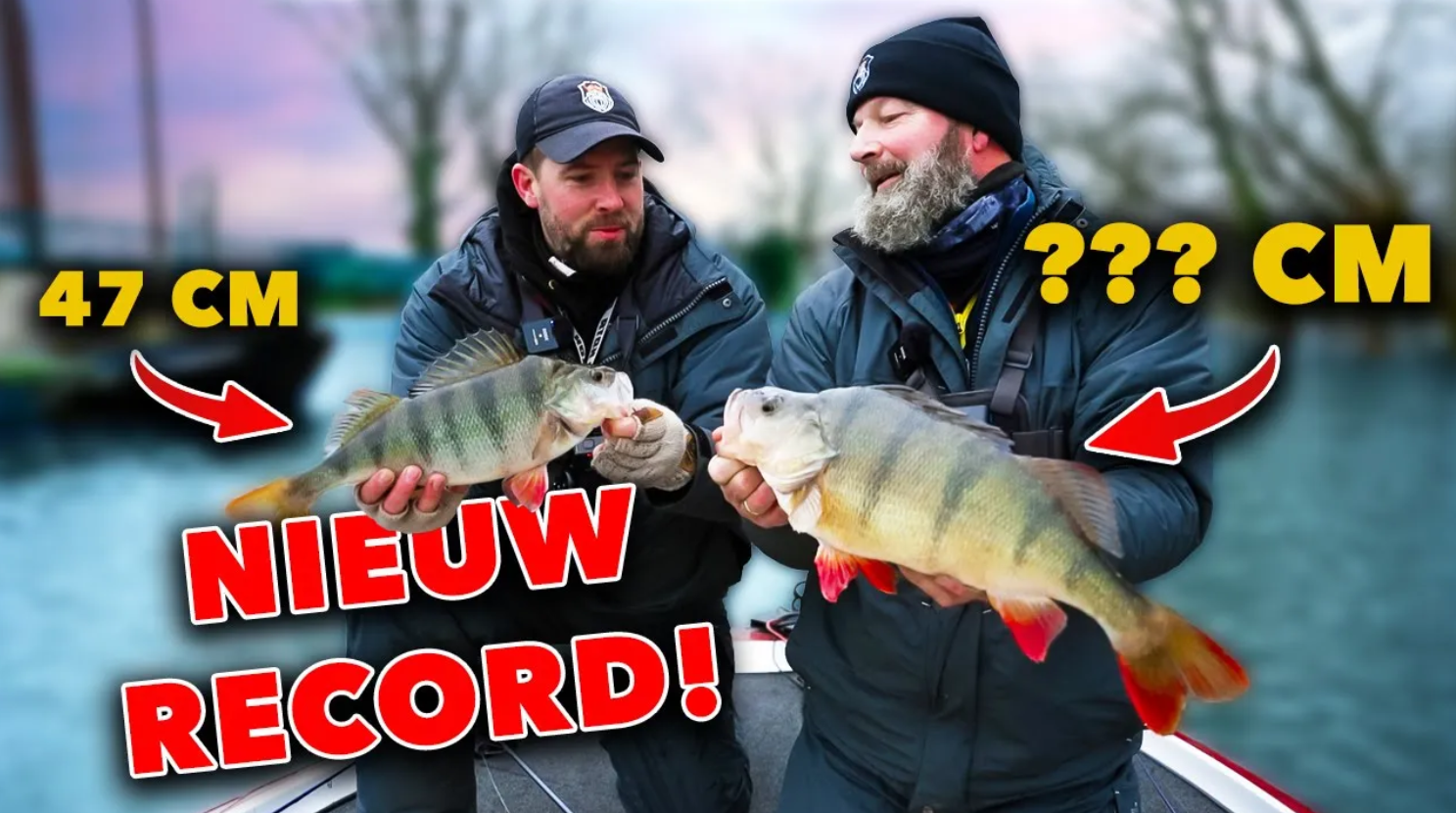 ***VIDEO*** MONSTERLIJKE VANGST: Gigantische 50+ cm Baars – Ontdek de GEHEIMEN van de Ned rig!