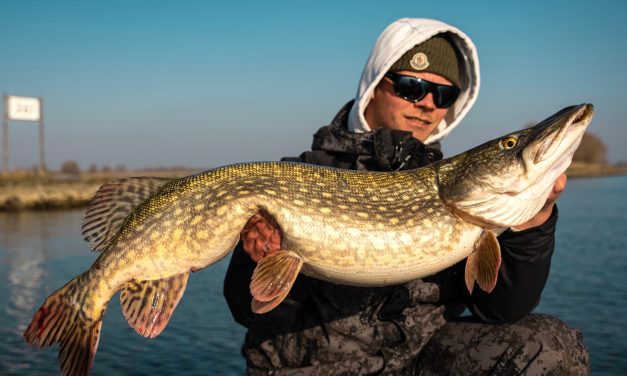 Snoek in de winter – Snel of langzaam – Groot of klein?