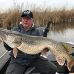 Een specialist over het vissen met dood aas onder de dobber en op de fireball