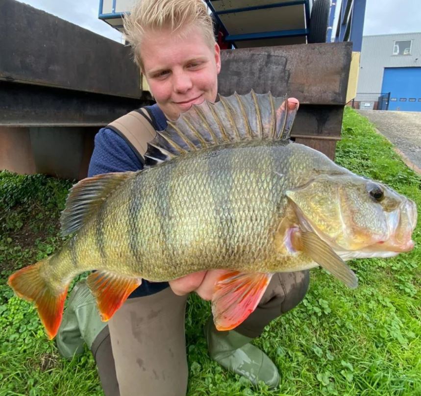 Kunstaas estafette – Top 3 kunstaas voor baars van Justin Gottmers