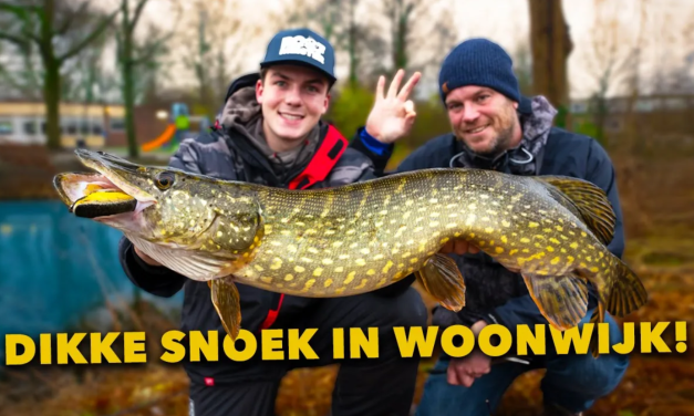 ***VIDEO*** Wij zetten WOONWIJK op zijn KOP met een MEGASNOEK!