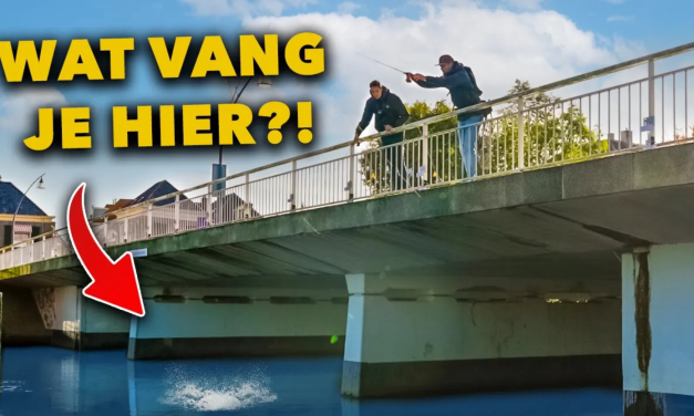 ***VIDEO*** Vang MEER dan IEDEREEN met deze TIPS! STREETFISHING met de WERELDKAMPIOEN!