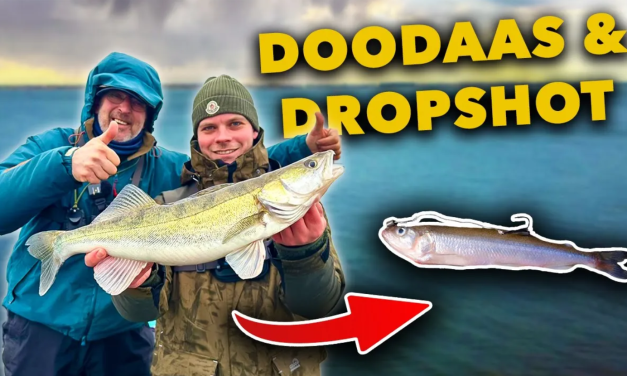 ***VIDEO*** DOODAAS VISSEN OP SNOEKBAARS! Zo ONDIEP vangen wij ze!