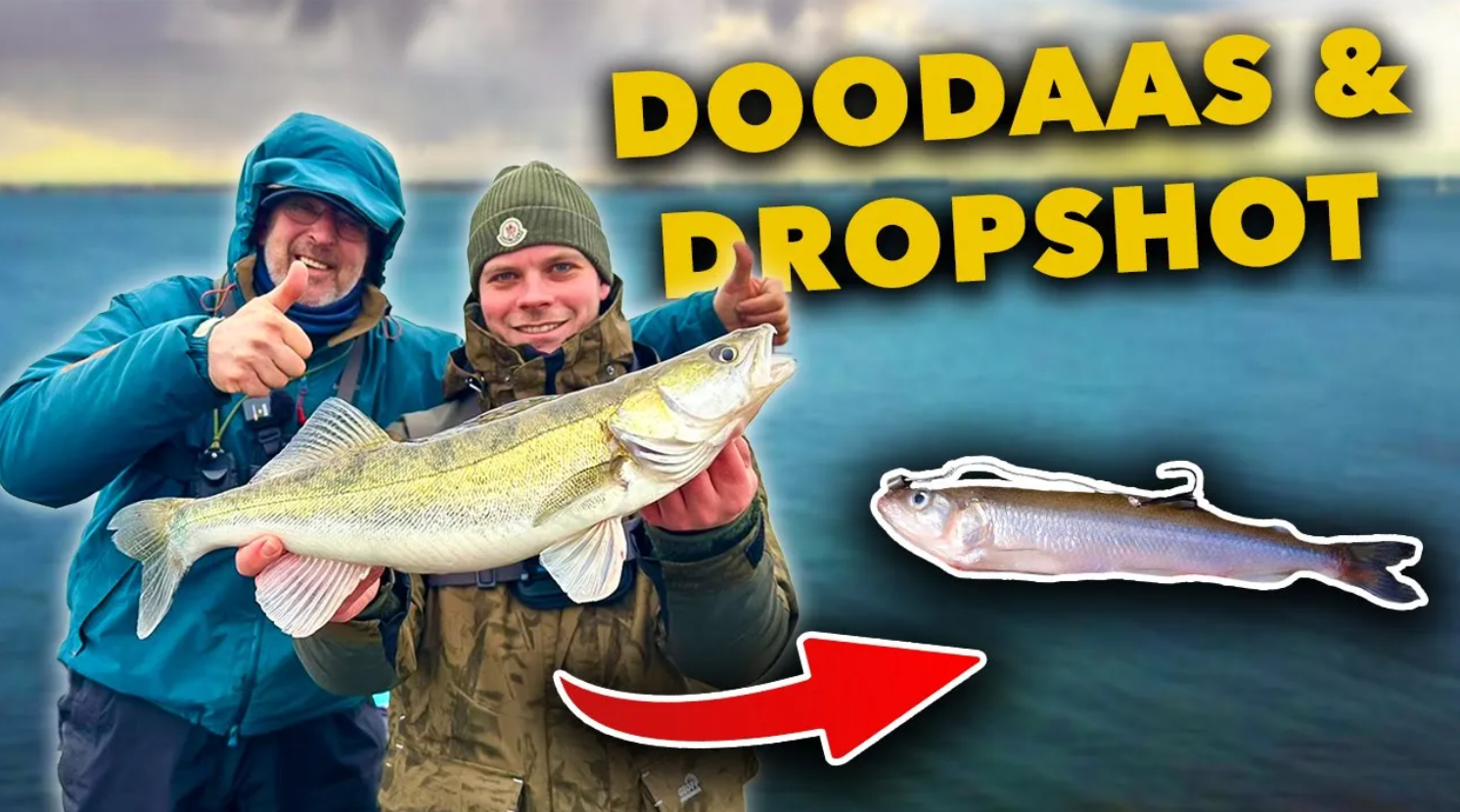 ***VIDEO*** DOODAAS VISSEN OP SNOEKBAARS! Zo ONDIEP vangen wij ze!