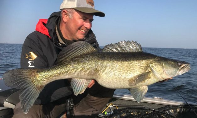Kunstaas estafette – Top 3 kunstaas voor snoekbaars van Luc Coppens