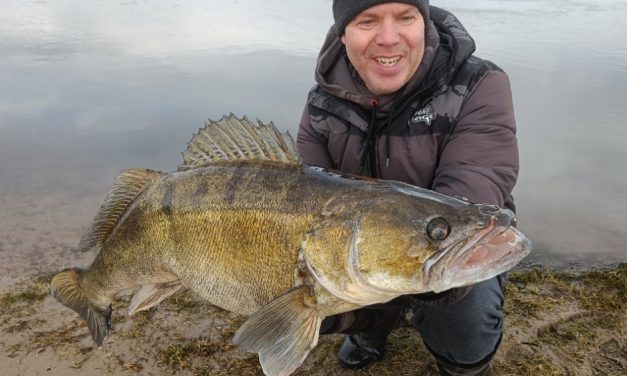 ***BREAKING*** 105,5 cm snoekbaars vanaf de kant!