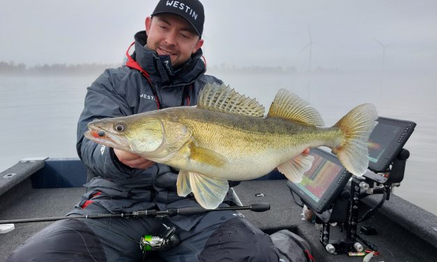 Wist jij dat de Ned rig en Carolina rig killing kunnen zijn voor snoekbaars?!